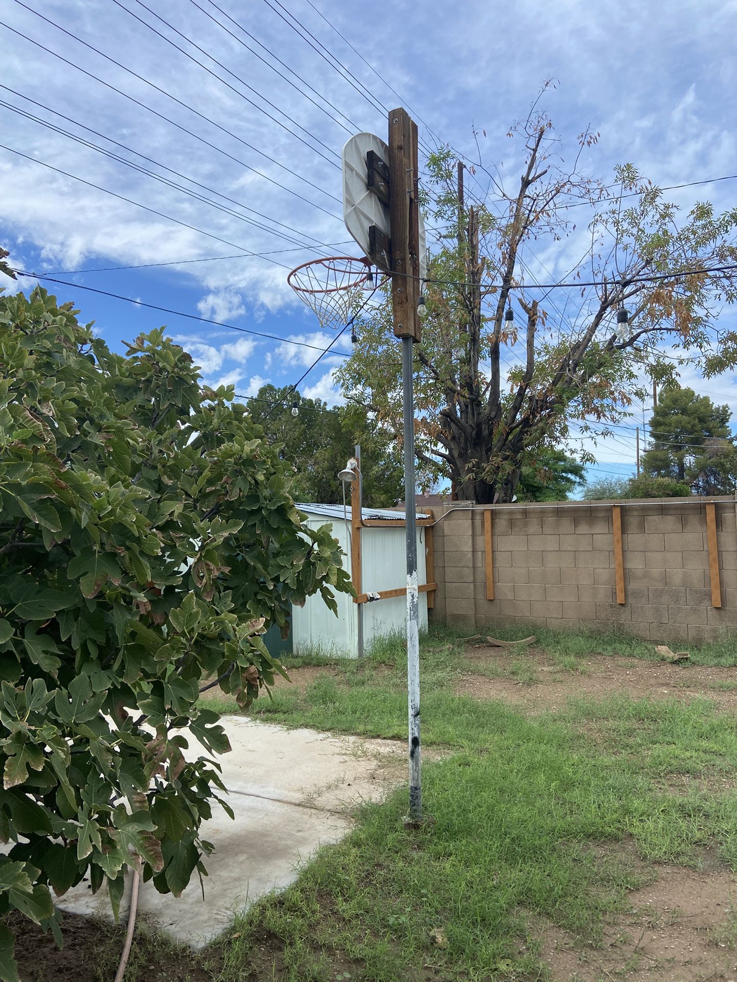 Free Basketball Hoop