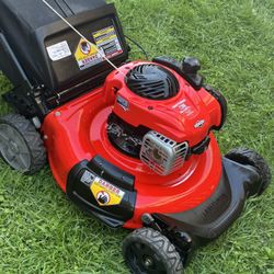 Craftsman M110 with Bagger