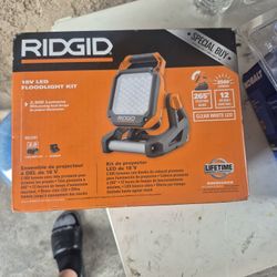 Rigid Flood Light 
