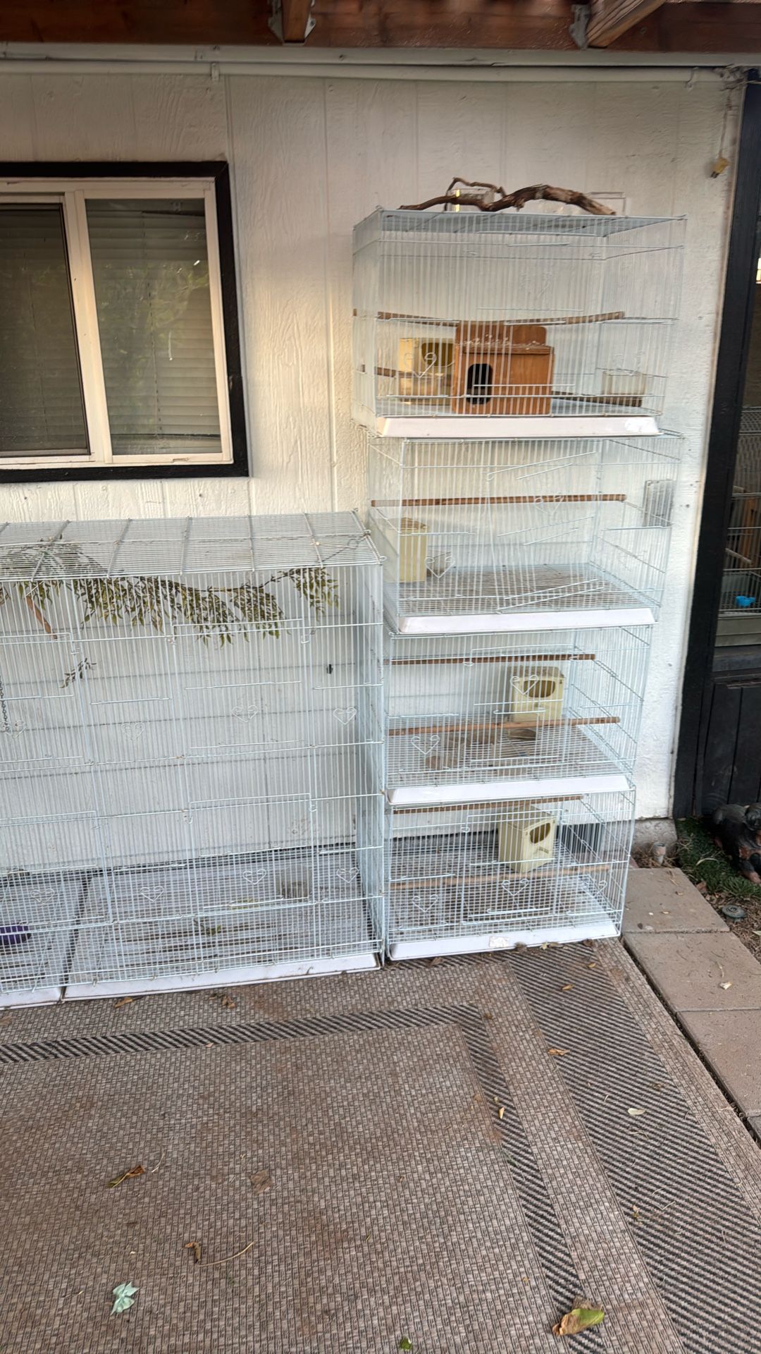 Jaulas Para Pájaros 