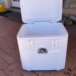 Cooler