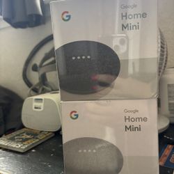 2 Google Home Mimi’s