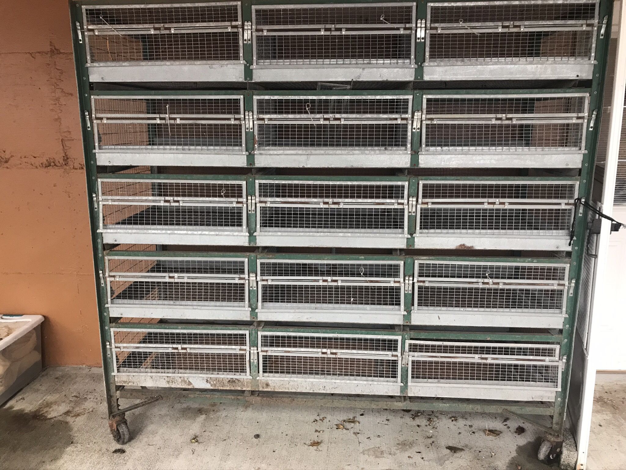 Battery Brooder Cage