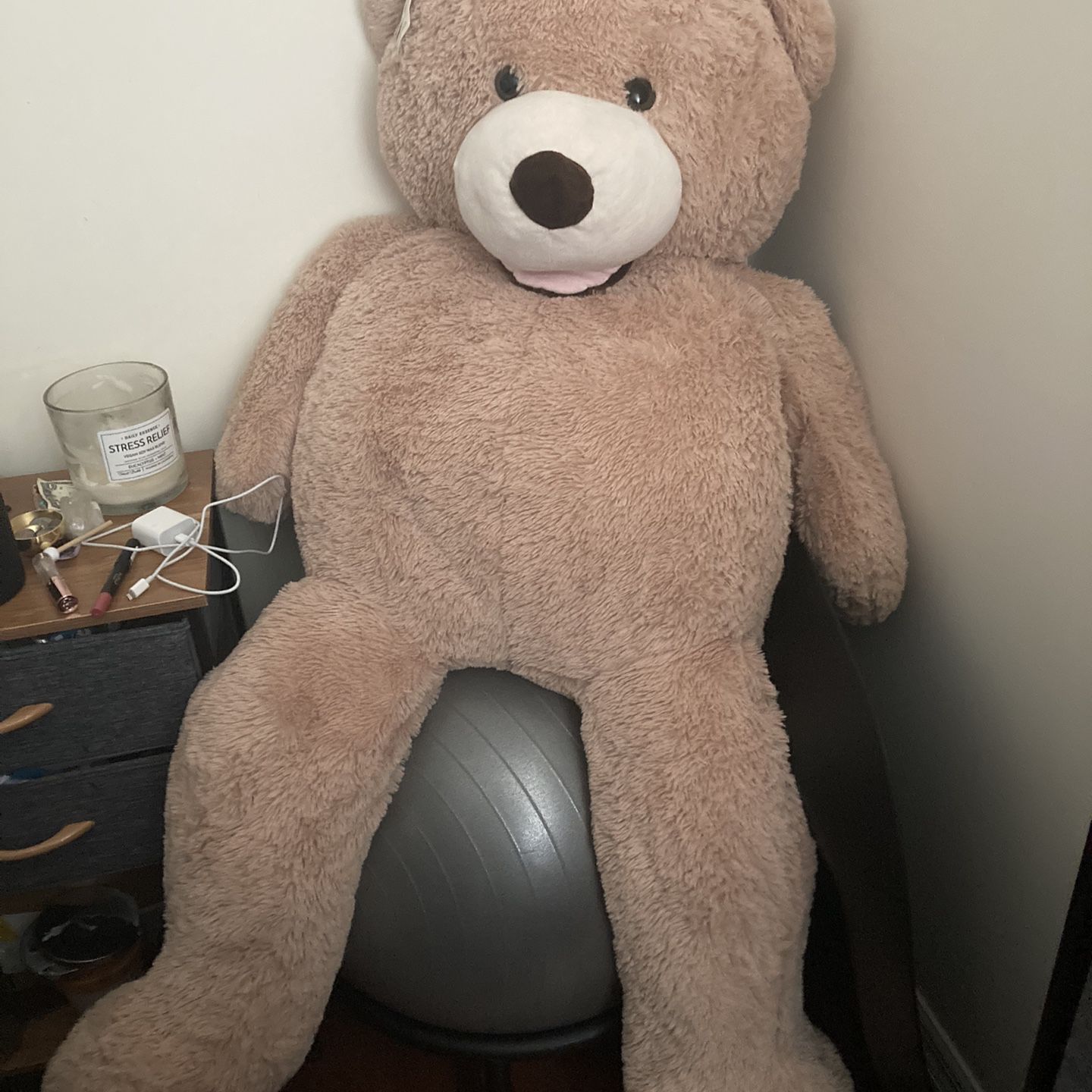 Brand New, HUGE 53” Luxury Teddy Bear for Sale in Foxcroft Square, PA -  OfferUp