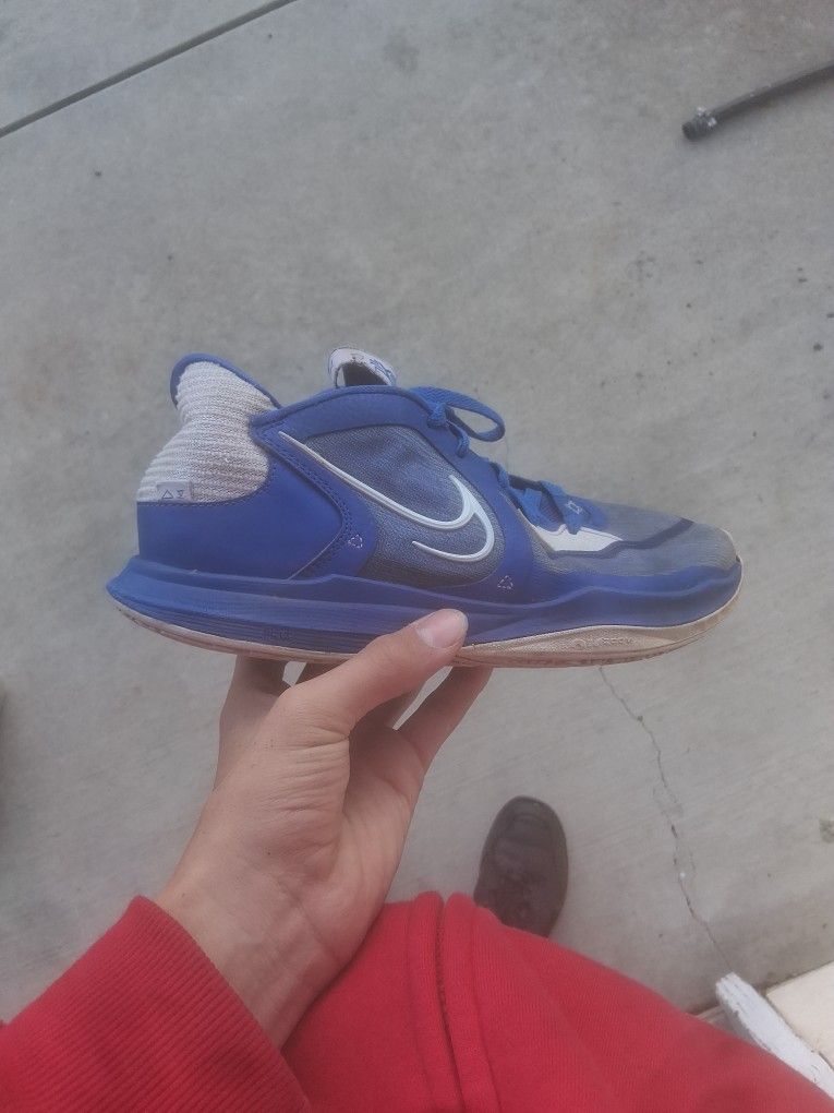 Blue Kyrie's