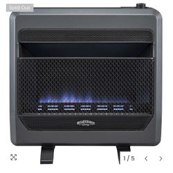 30,000 BTU Walk Or Floor Mount Heater