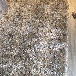 Beautiful. 9 By  11. Shag Carpet. Maulty Color 