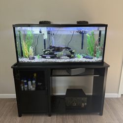 55 Gallon Fish tank 