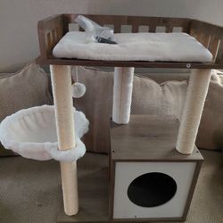 Cat House