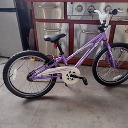 Bike SPECIALIZED Tires Size 20 Very Good Condition 