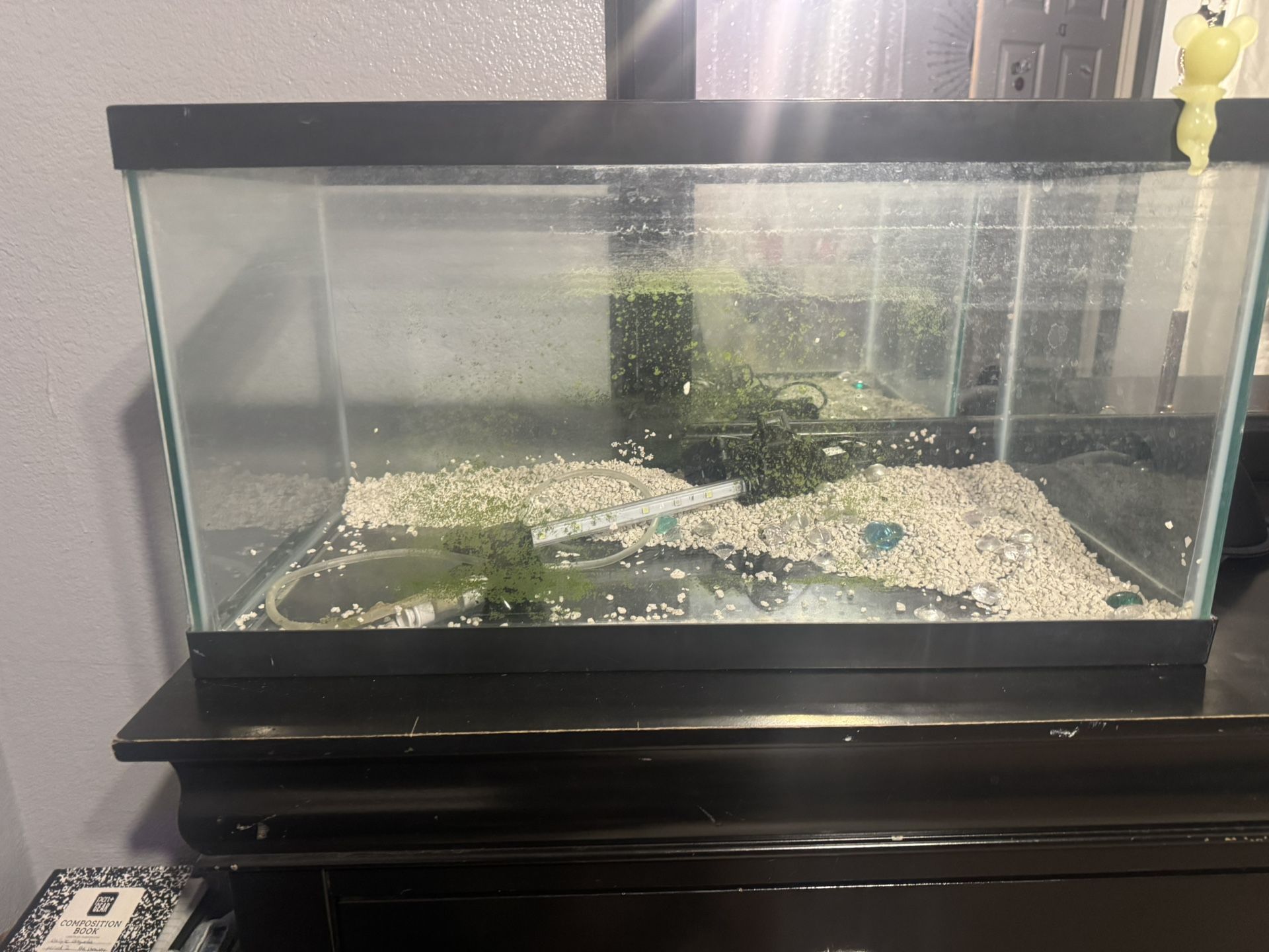 10 Gallon fish tank