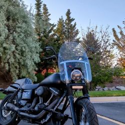 2015 Dyna street Bob