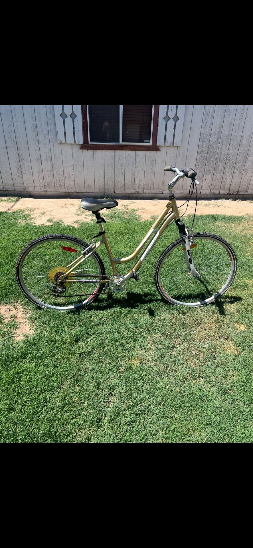 Bicicleta