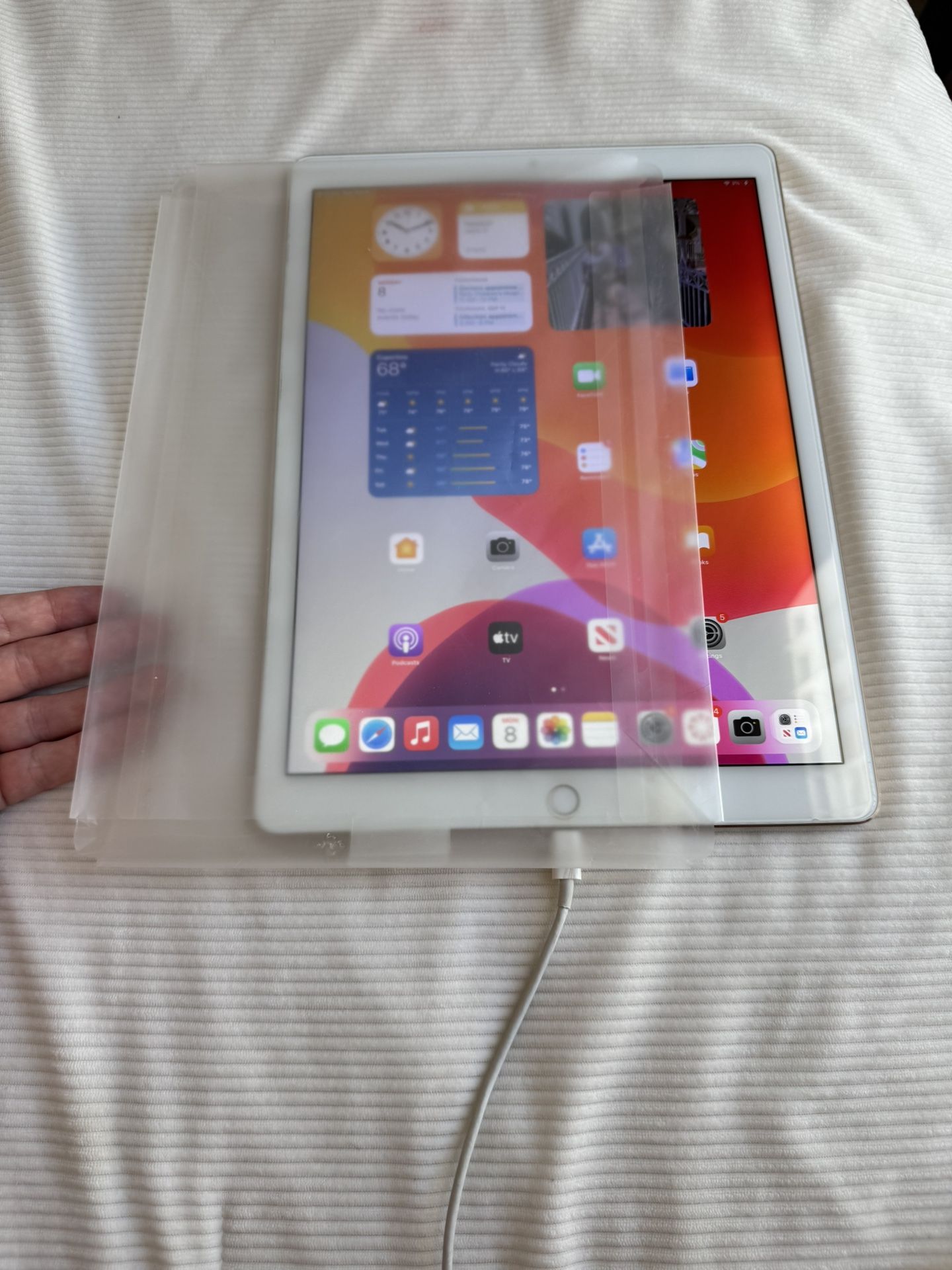 iPad Pro