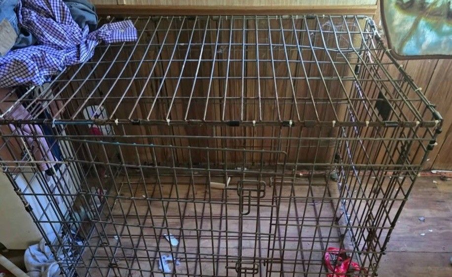 Dog Cage 