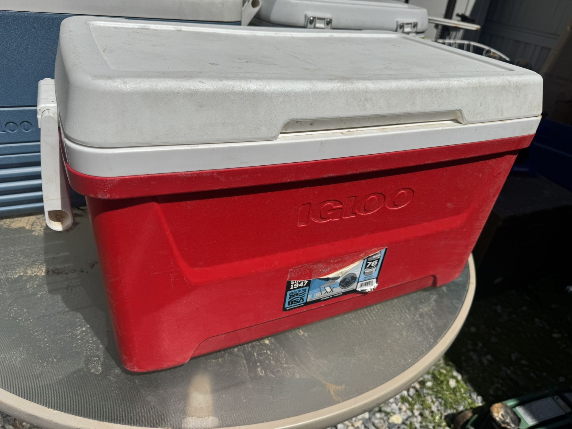 Cooler IGLOO