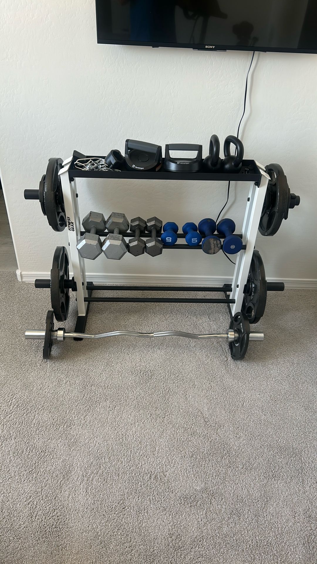 Peloton , 300lbs of Weights And Bench.