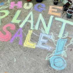 BIG PLANT SALE IN LARGO SATURDAY & SUNDAY 
