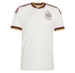 spain jersey