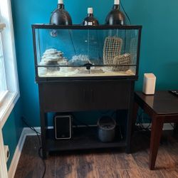 Reptile Terrarium - OBO