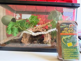 Reptile tank and supplies
