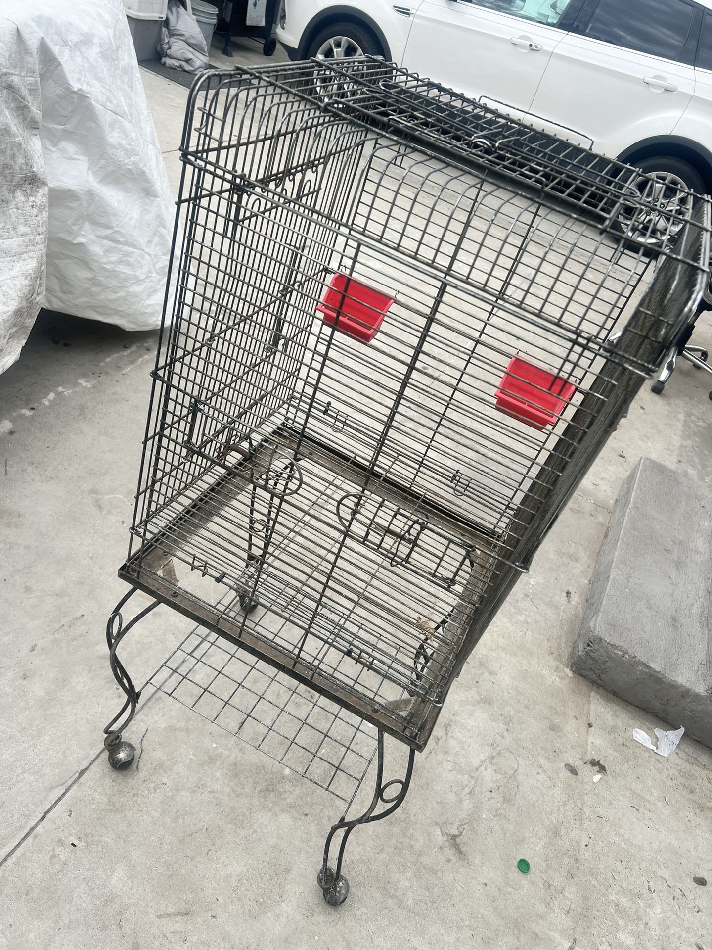 bird cage