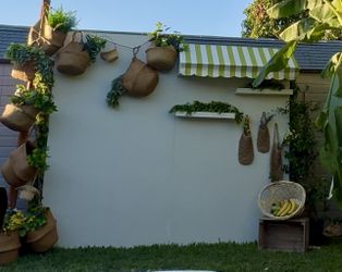 Backdrop For SALE