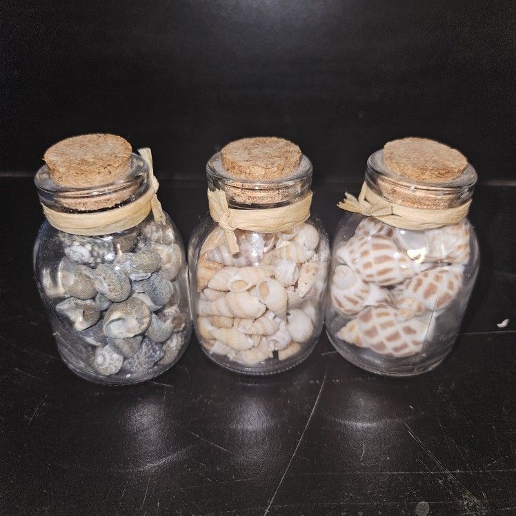 3 Decorative Glass Jars With Assorted Seashells