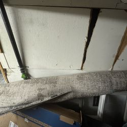 Clean Large Size Living Room Rug. 