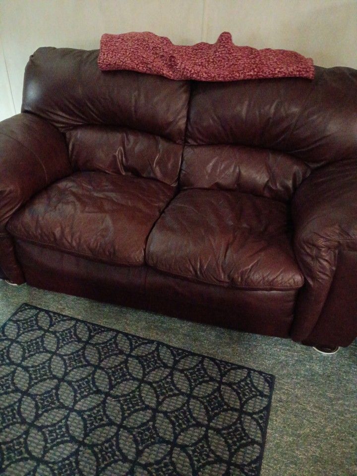 Cappuccino Color Loveseat Leather