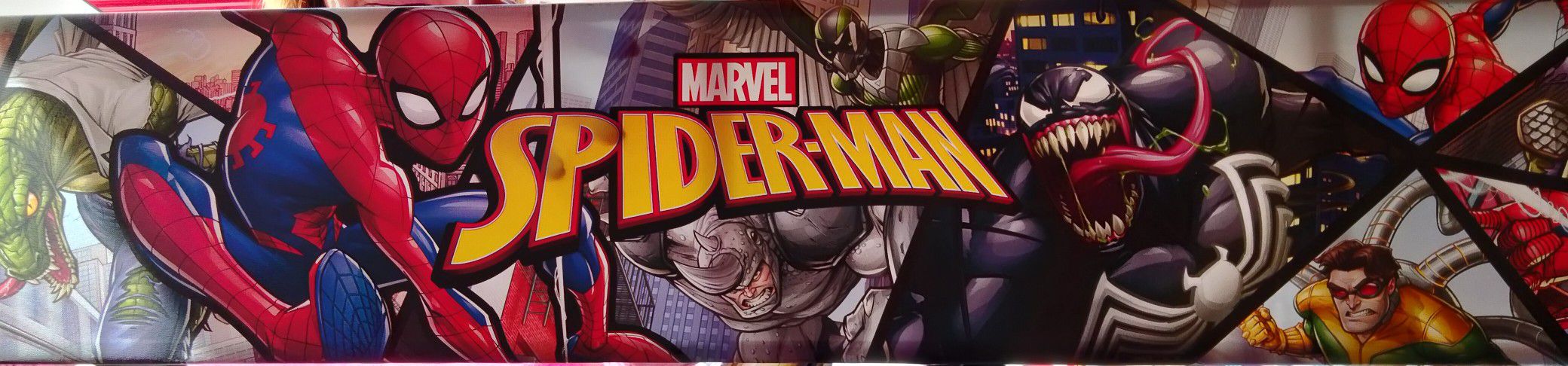 Marvel Spiderman Canvas