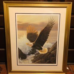 Eagle Picture Art