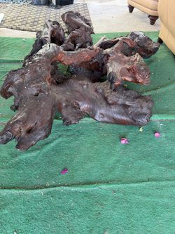 Tree Root Table Base Or Project Piece