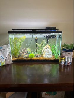 Full 30 gallon freshwater aquarium setup