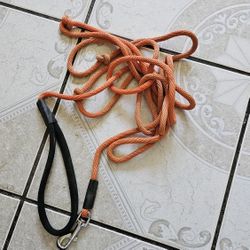 Long Dog Leash