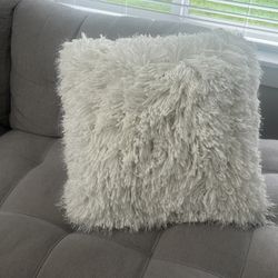 Decorative Pillow Brand New