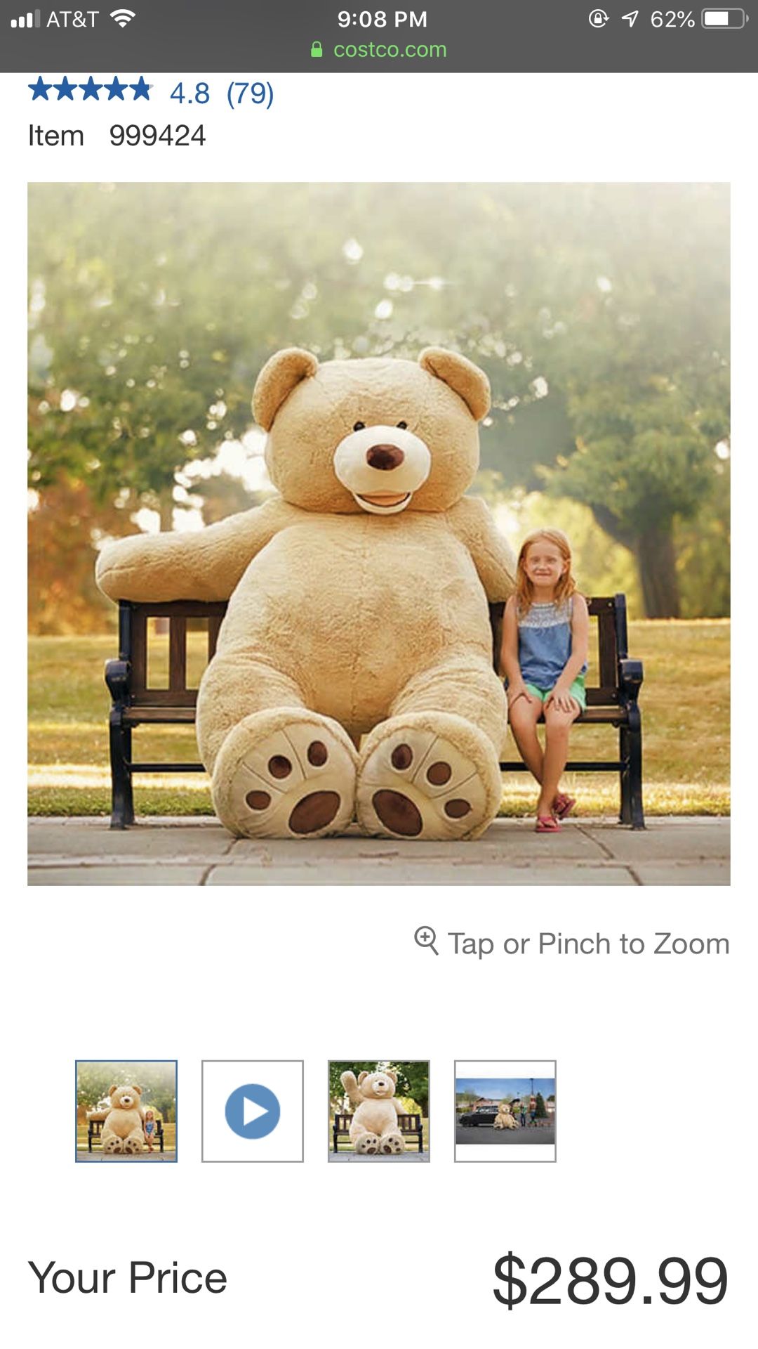 huge teddy bear
