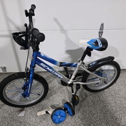 Schwinn Kids Training Bike