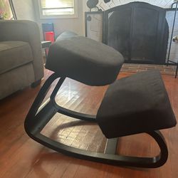 Ergonomic Chair, Brand New