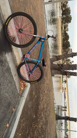 SE BIKE BIG RIPPER