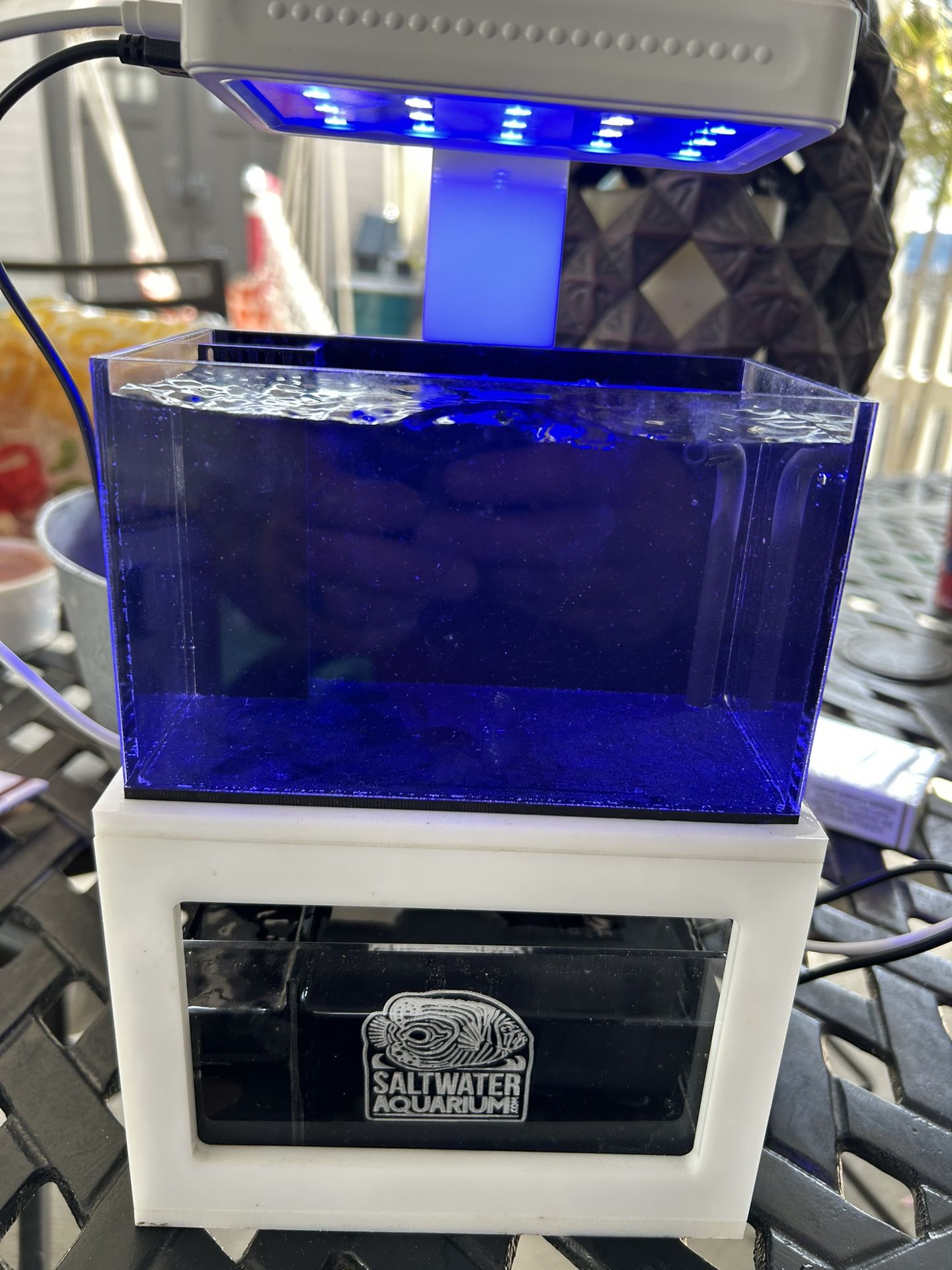 40 Oz Micro Reef Tank