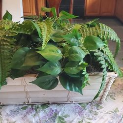 House Plants Artificial 