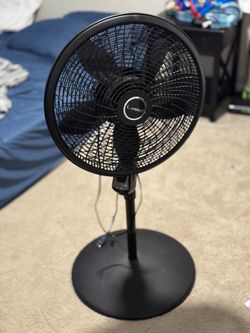 Lasko Fan