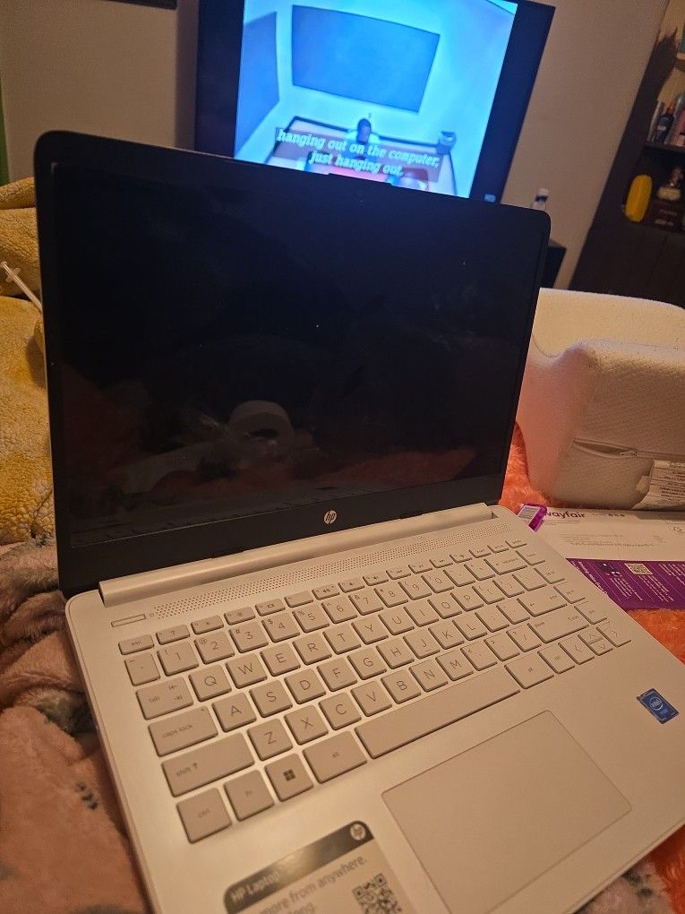 Hp Laptop