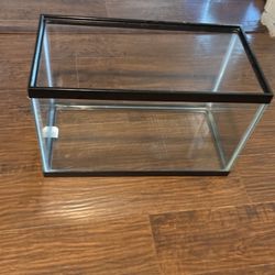 10 Gallon Terrarium With Supplies. 