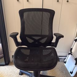 Ergonomic Office Chair