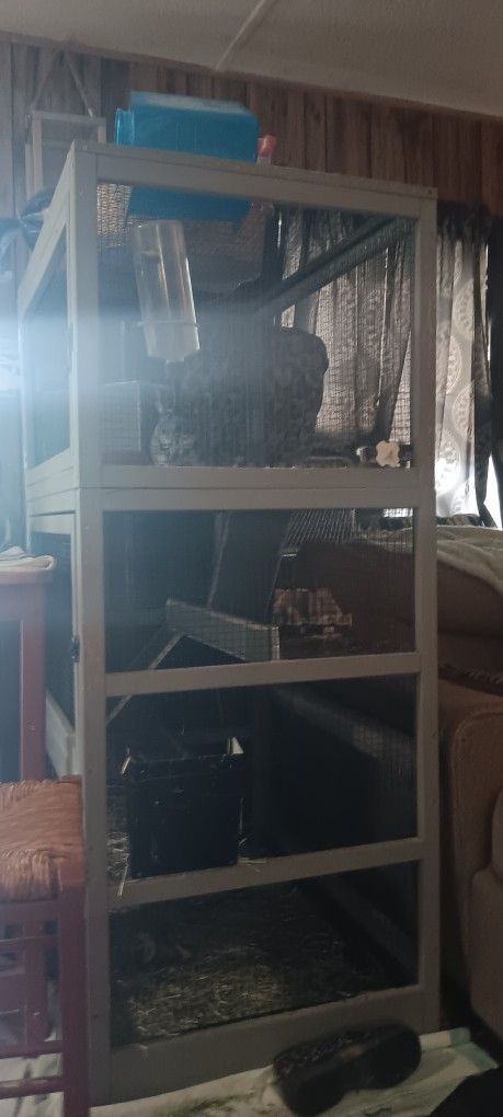 Chinchilla Cage