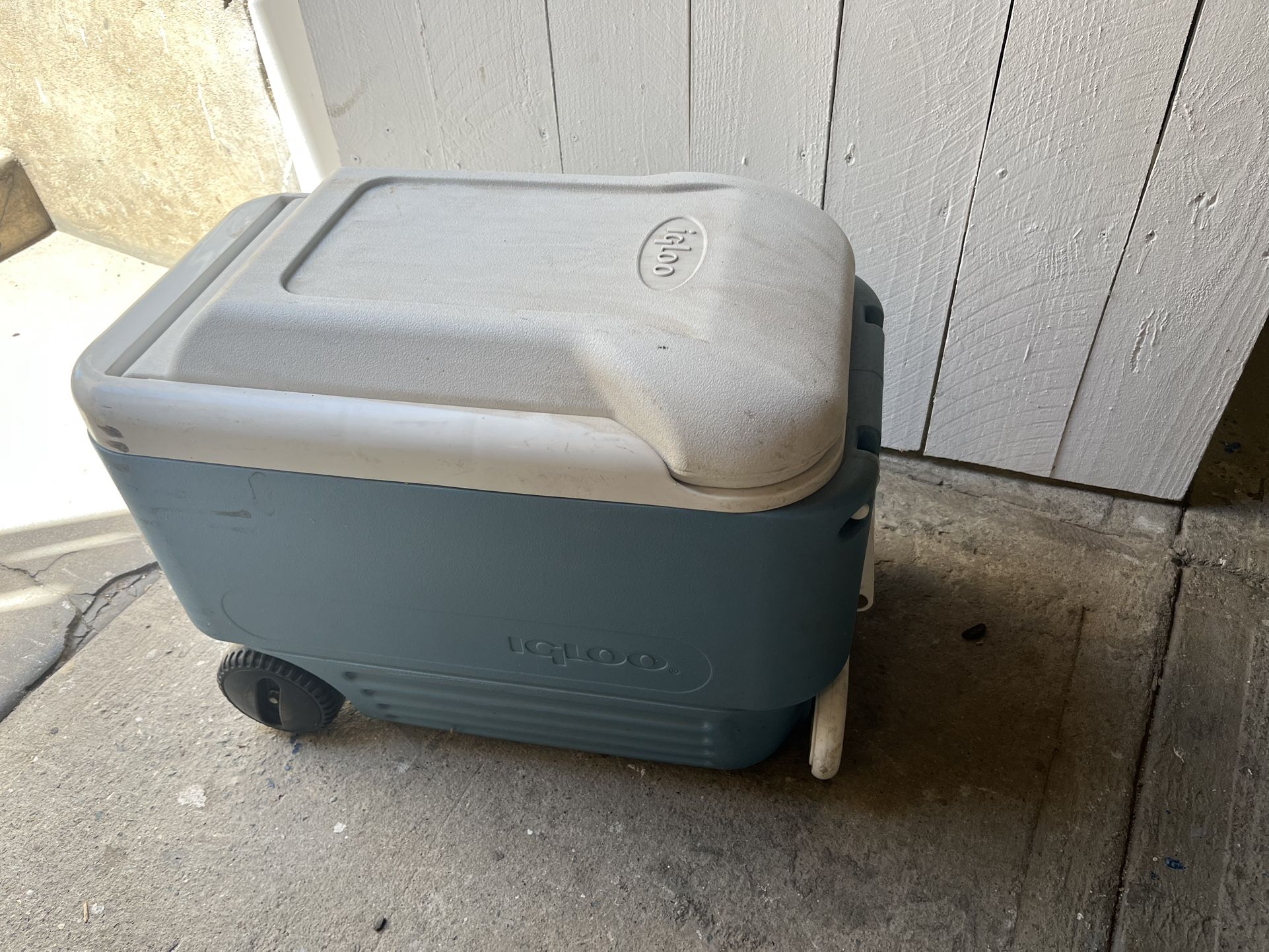 Igloo Cooler on Wheels