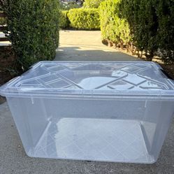 Clear storage bin