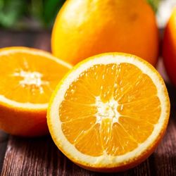 Grafted Dwarf Washington Naval Orange Trees  4 Ft Tall😃🌿🌿🌿🍊🍊🍊